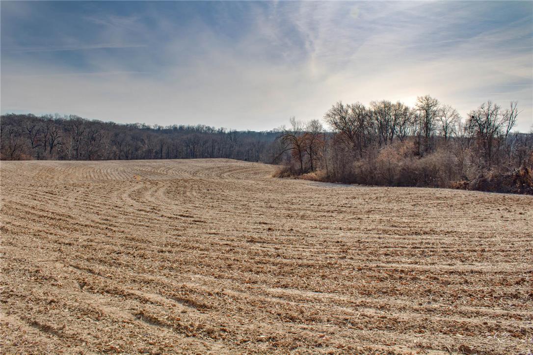 1 Stagecoach Road Jerseyville, IL 62052 - Photo 38 of 40 Gallery Image 38