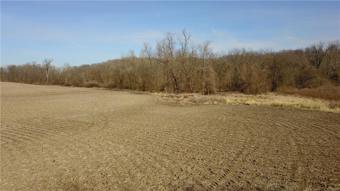 1 Stagecoach Road Jerseyville, IL 62052 - Photo 10 of 40 Gallery Image 10