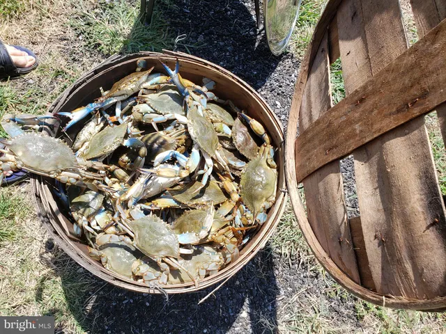 a view of an ocean with city view
