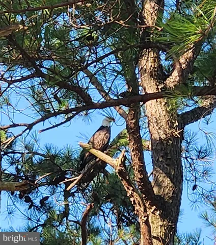 $650,500 | 2508 Old House Point Road, Fishing Creek, MD 21634