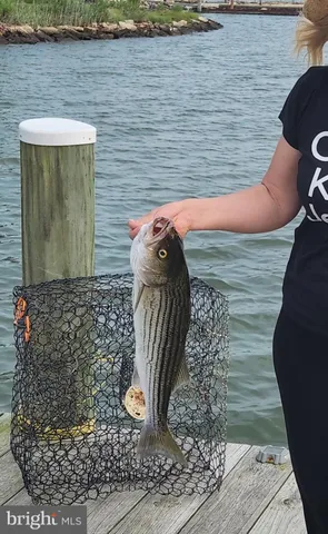 $650,500 | 2508 Old House Point Road, Fishing Creek, MD 21634