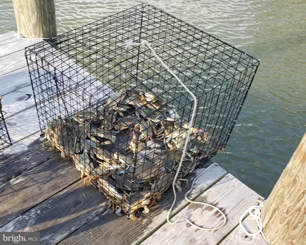 $650,500 | 2508 Old House Point Road, Fishing Creek, MD 21634