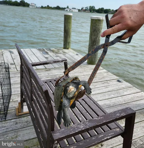 $650,500 | 2508 Old House Point Road, Fishing Creek, MD 21634