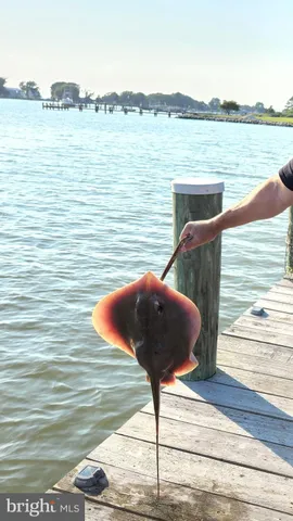 $650,500 | 2508 Old House Point Road, Fishing Creek, MD 21634