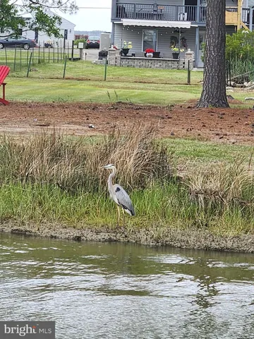 $650,500 | 2508 Old House Point Road, Fishing Creek, MD 21634