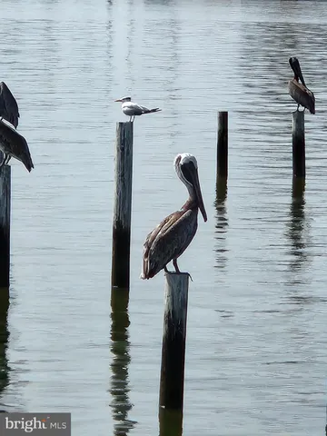 $650,500 | 2508 Old House Point Road, Fishing Creek, MD 21634