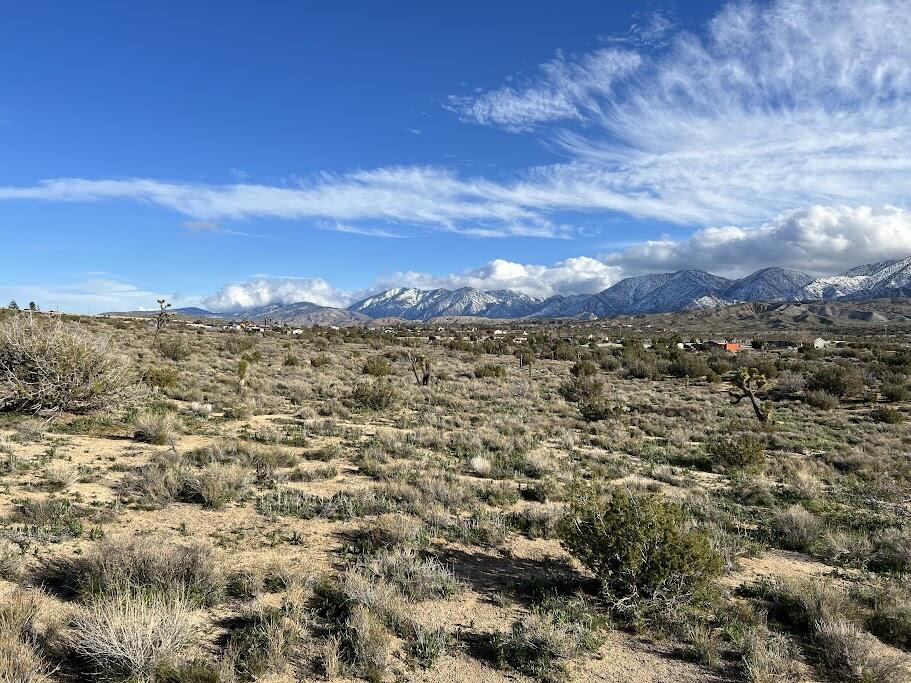 0 Fort Tejon Road Pearblossom, CA 93553 - Photo 6 of 24 fort tejon lot 6 right one