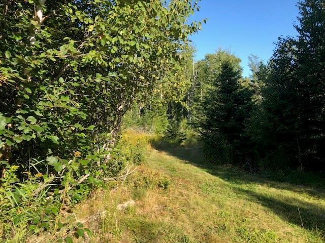 Map 1-lot Map 1-lot Boot Cove Road Lubec, ME 04652 - Photo 1 of 7 Photo