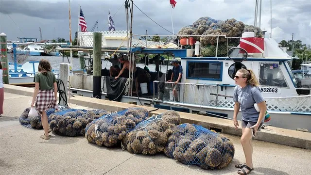 $1,450 | 3813 Staysail Lane, Holiday, FL 34691