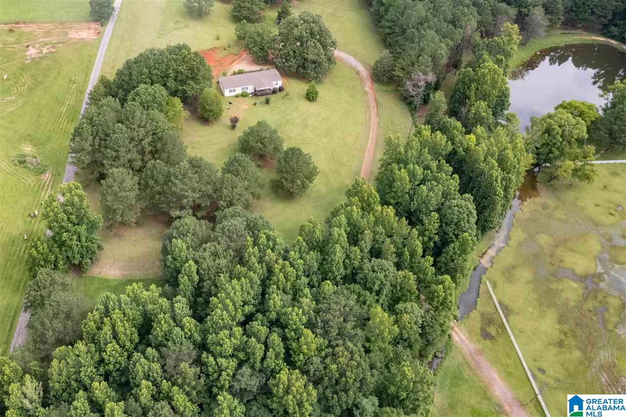 22060 Eastern Valley Road McCalla, AL 35111 - Photo 9 of 26 Gallery Image 9