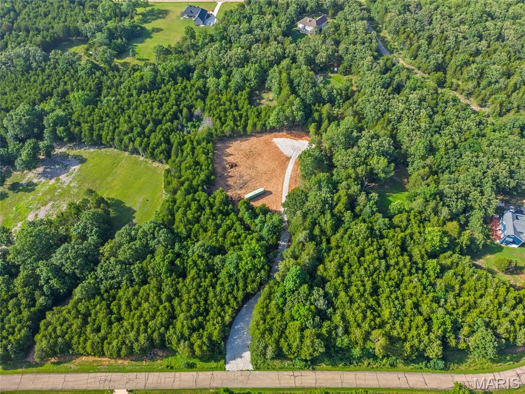 6111 Tall Cedars Road Hillsboro, MO 63050 - Photo 10 of 18