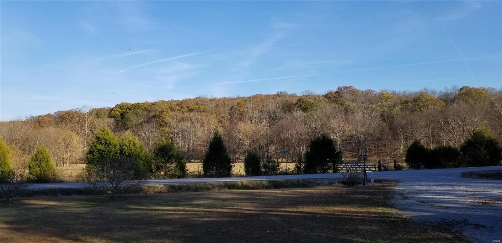 2220 Gape Hollow Road Harrisburg, IL 62946 - Photo 2 of 28 Gallery Image 2
