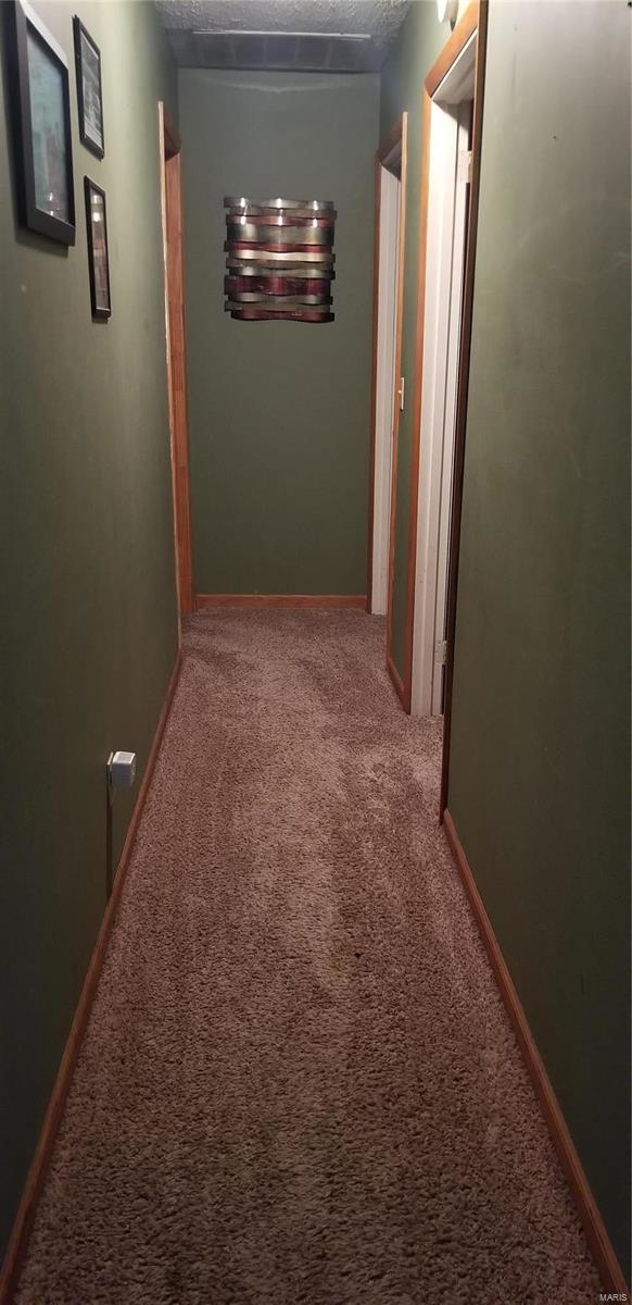 2220 Gape Hollow Road Harrisburg, IL 62946 - Photo 18 of 28 Gallery Image 18
