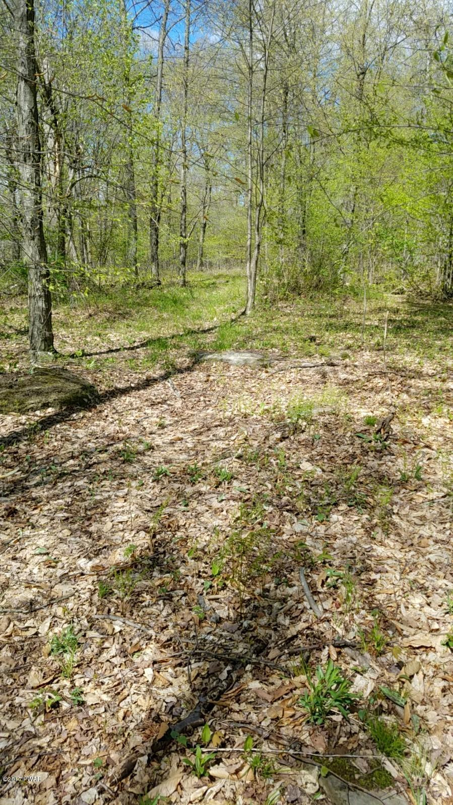 376 Wescott Road Tyler Hill, PA 18469 - Photo 8 of 8