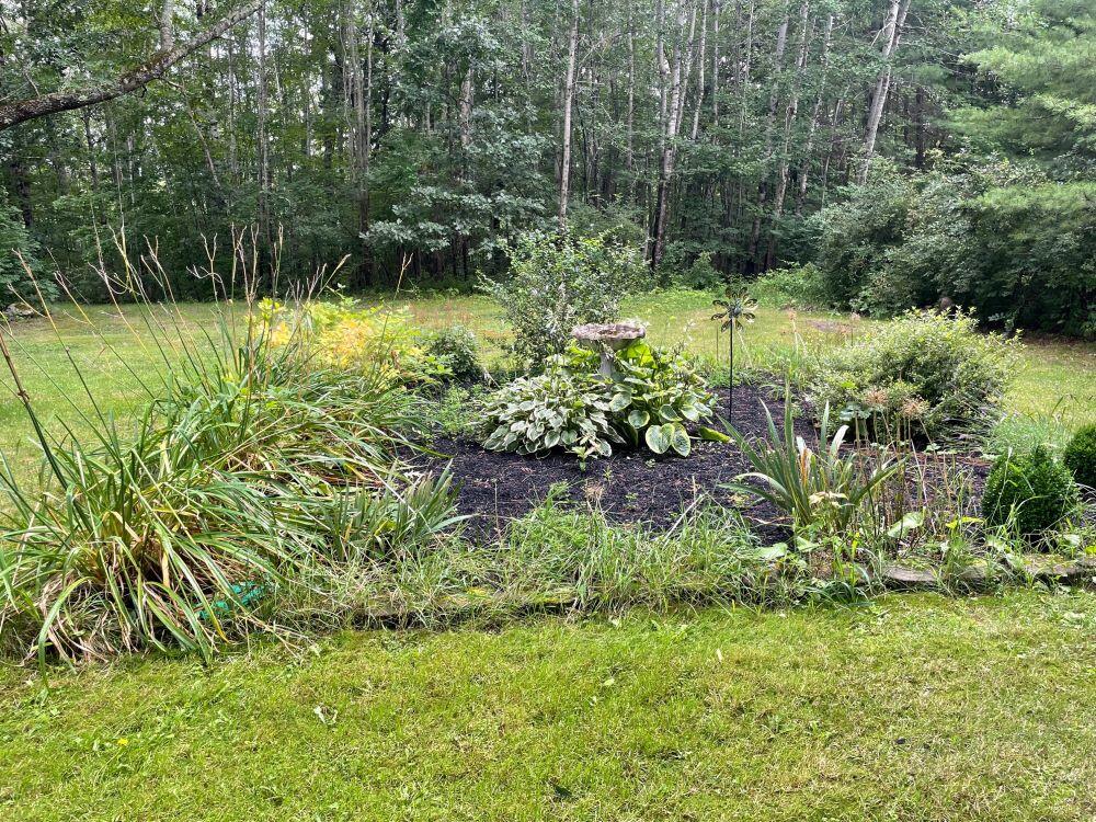 383 Old Alfred Road Waterboro, ME 04030 - Photo 29 of 38 picture24 yard