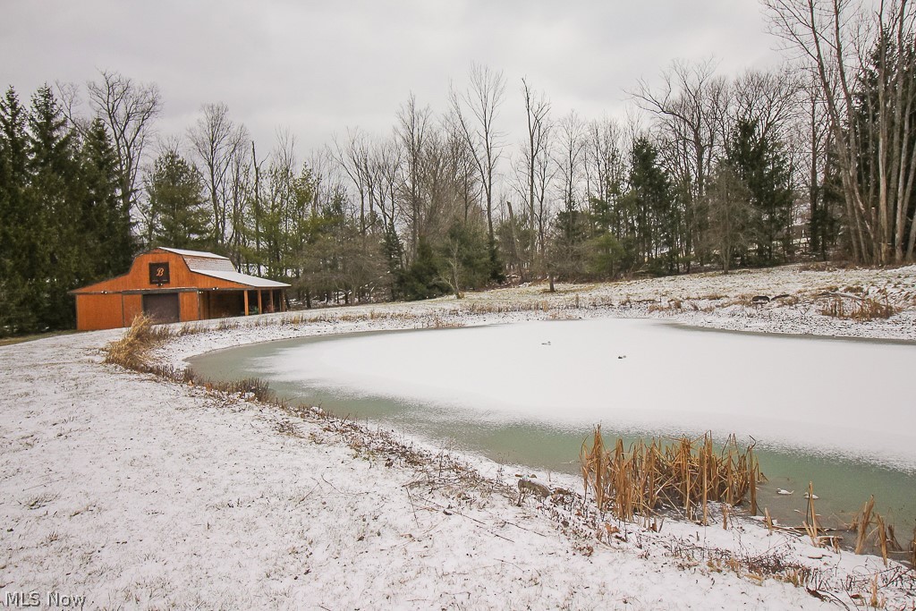 3025 State Road Medina, OH 44256 - Photo 30 of 34 Pond and barn / outbuilding towards the back of the property.