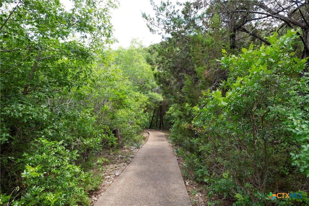 4945 Water Works Road Belton, TX 76513 - Photo 35 of 36 a view of a pathway both side of yard