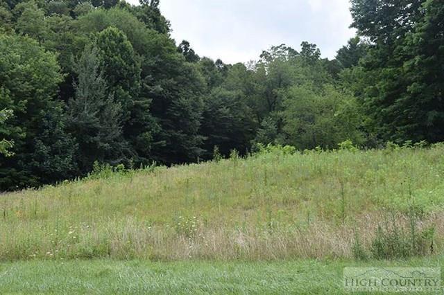 132 Eagles Path Boone, NC 28607 - Photo 2 of 10 Gallery Image 2