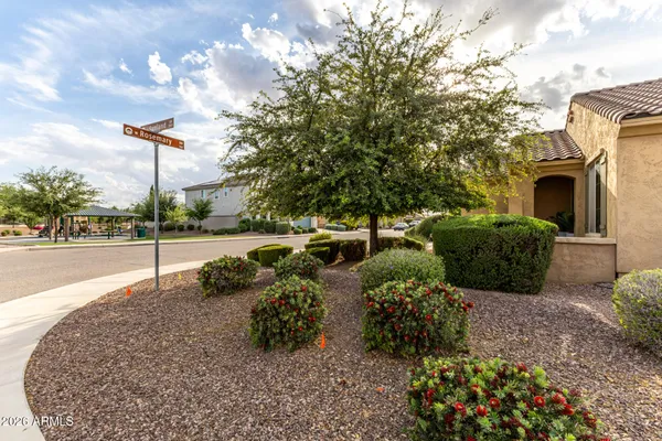 a view of a street with potted plants