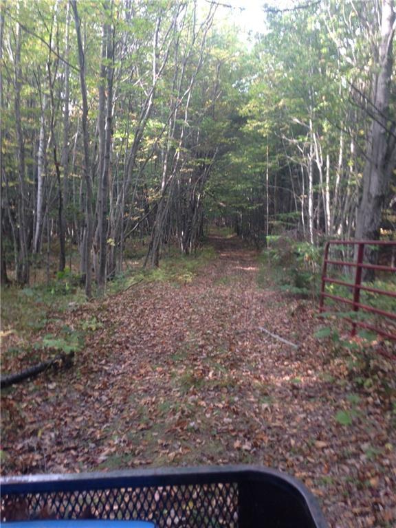 0 Estes Road Bryant Pond, ME 04219 - Photo 5 of 16 Photo