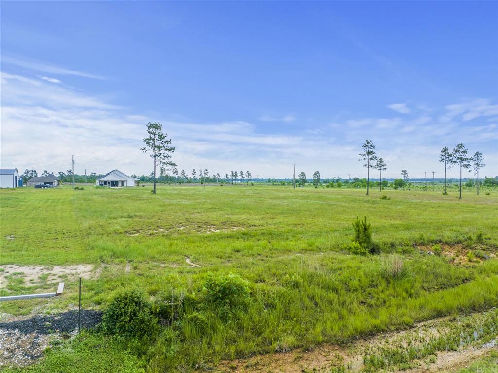 2732 Camp Edgewood Road Dequincy, LA 70633 - Photo 3 of 5