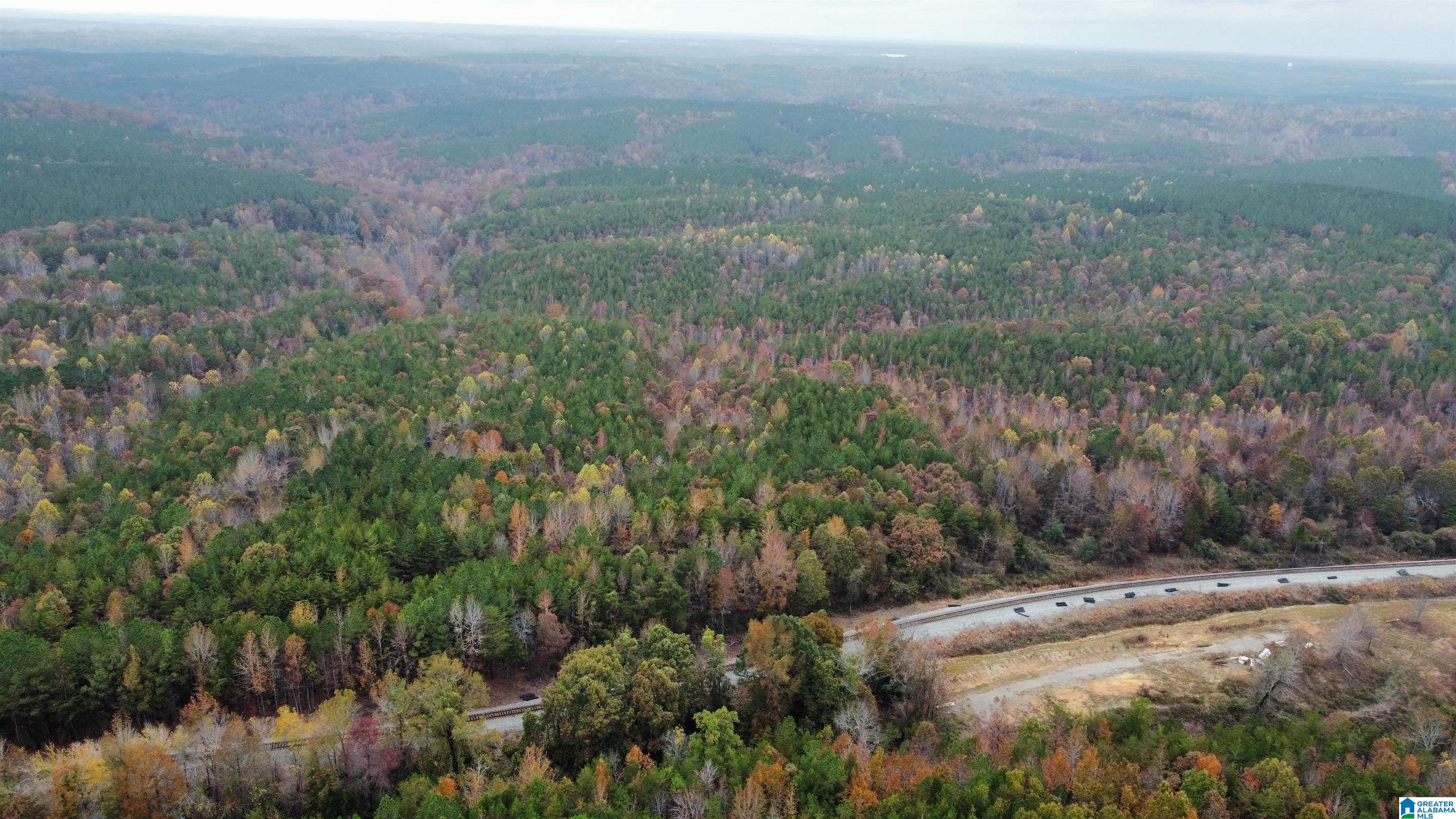 83-acres Byler Road, Unit 83 ACRES Haleyville, AL 35565 - Photo 11 of 19