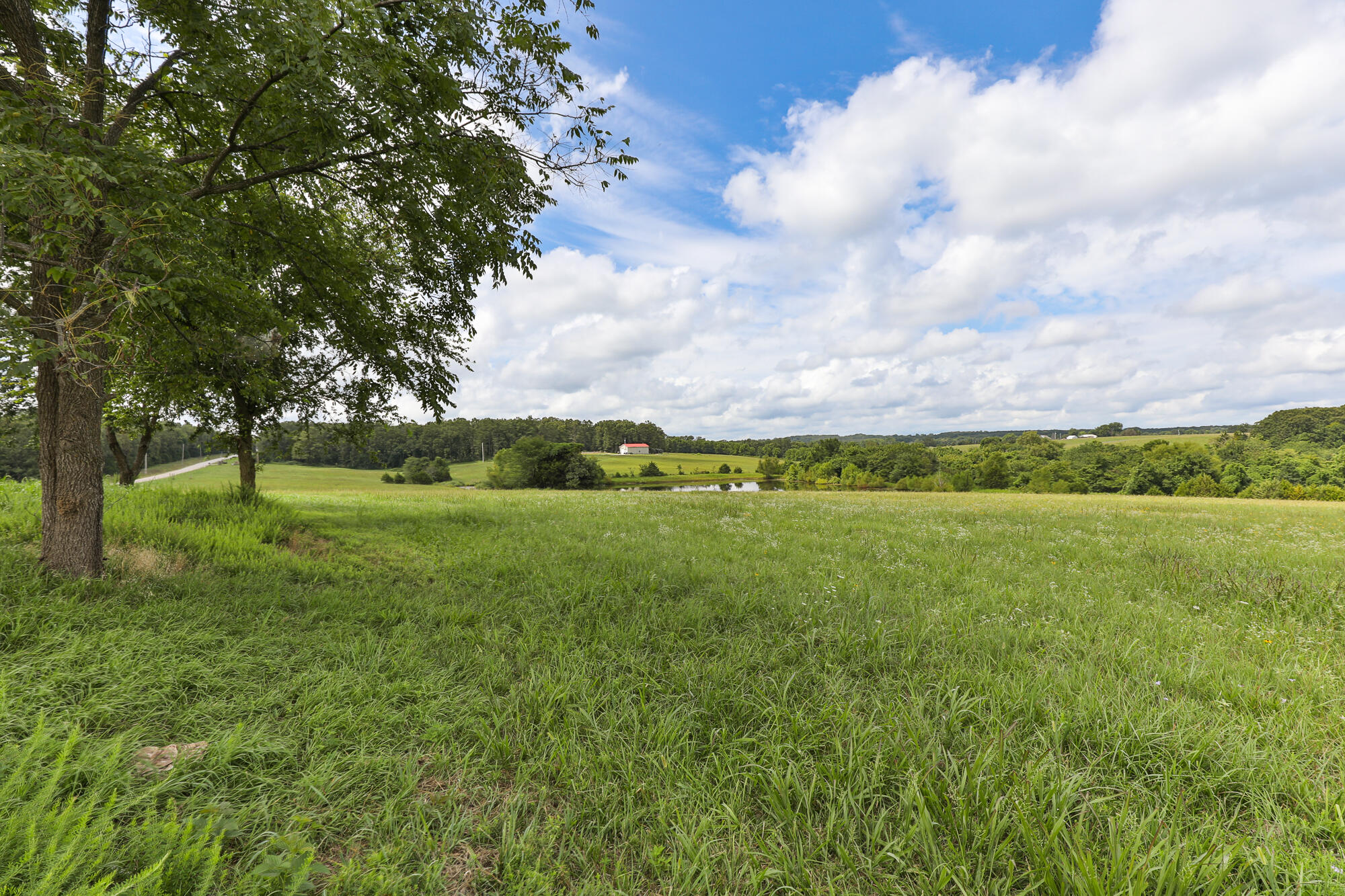 125 Eastgate Road Elkland, MO 65644 - Photo 7 of 24 7M4A5616