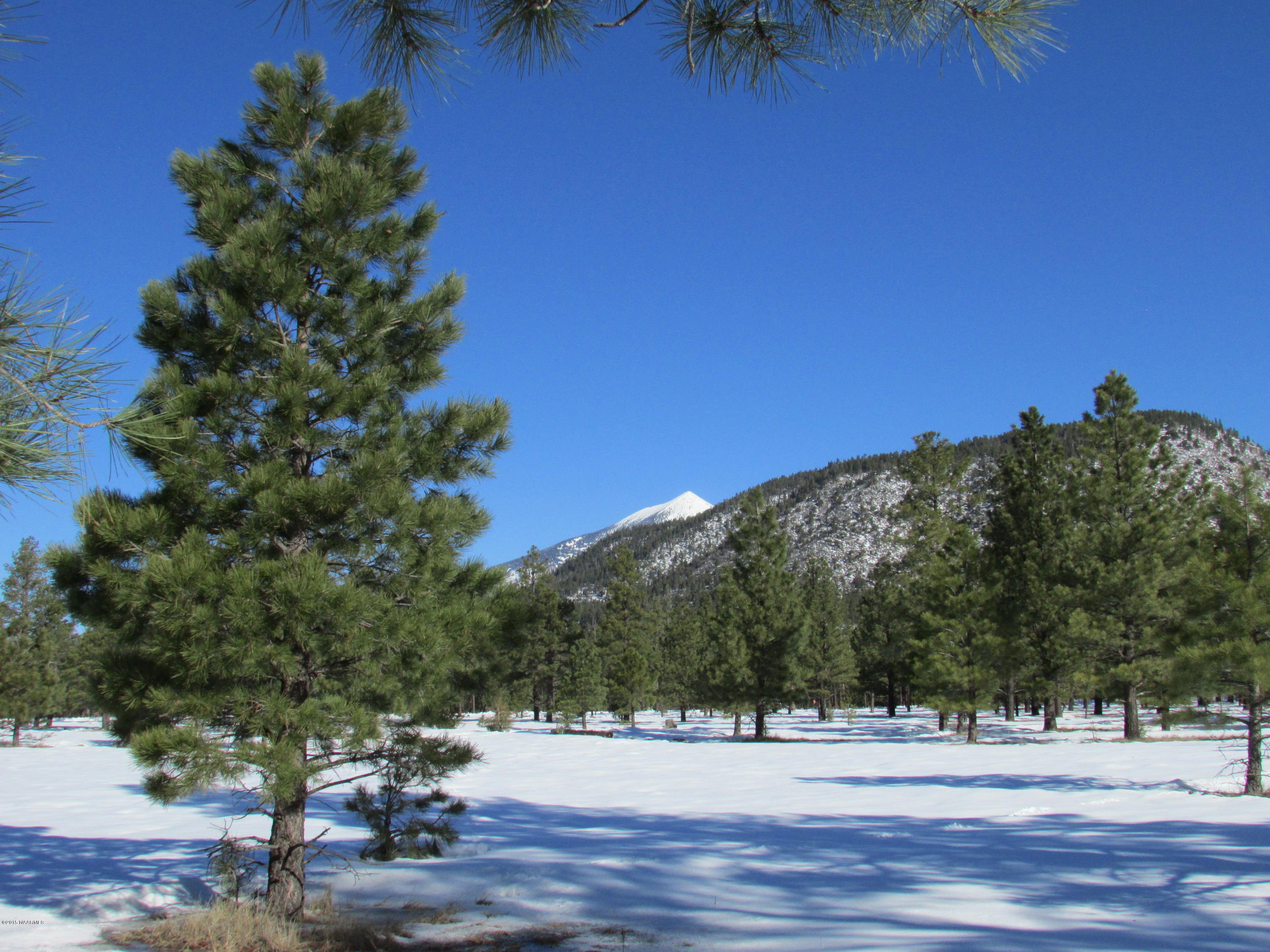2 Tract 8m Lockett Ranch Flagstaff, AZ 86001 - Photo 1 of 4 8M Par 2