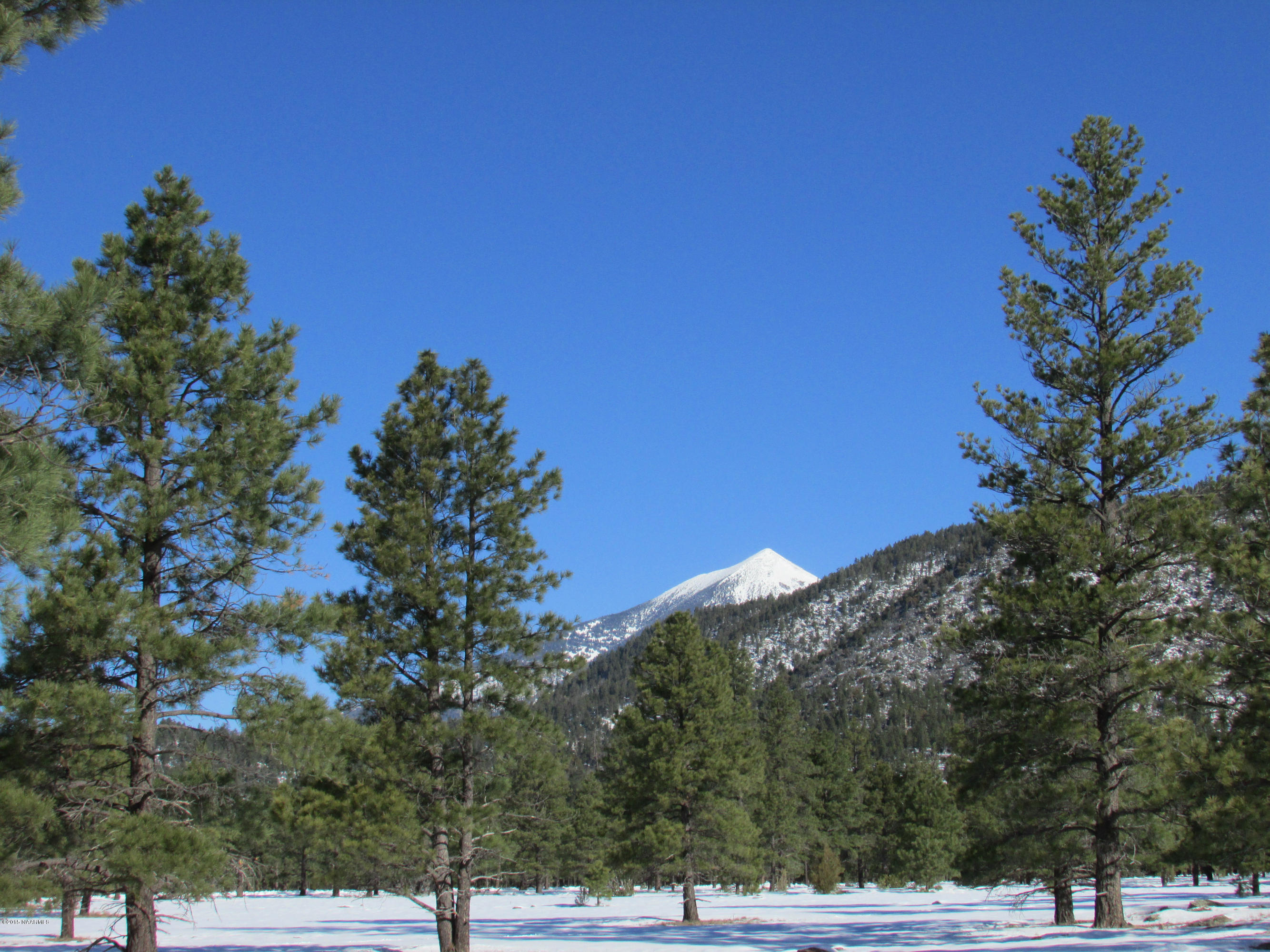 2 Tract 8m Lockett Ranch Flagstaff, AZ 86001 - Photo 2 of 4 Lockett Ranches Tract 8 007