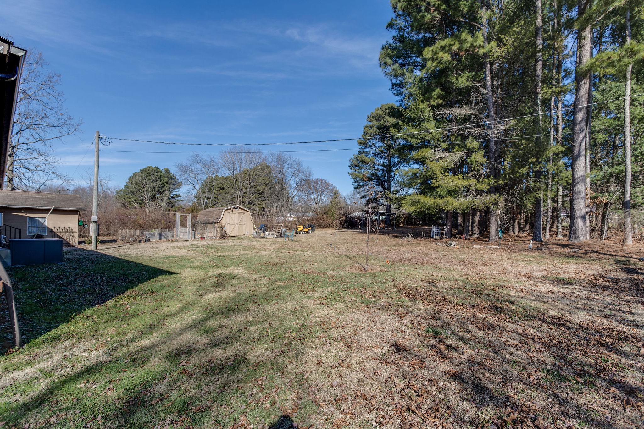 148 Stacy Road Manchester, TN 37355 - Photo 53 of 57 a view of a yard with an trees