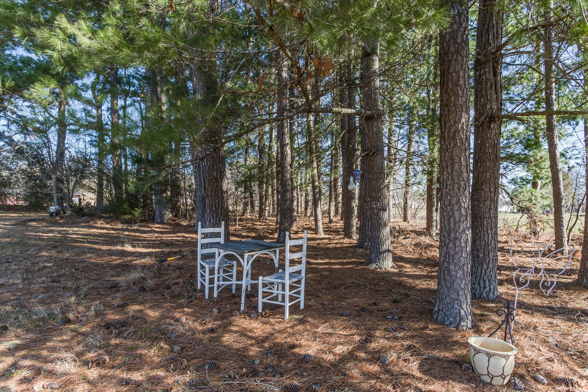 148 Stacy Road Manchester, TN 37355 - Photo 54 of 57 a wooden bench sitting in the middle of a yard