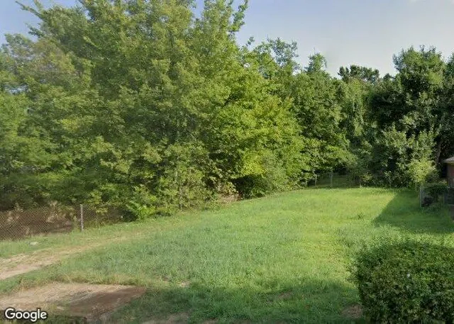a view of a yard with a tree