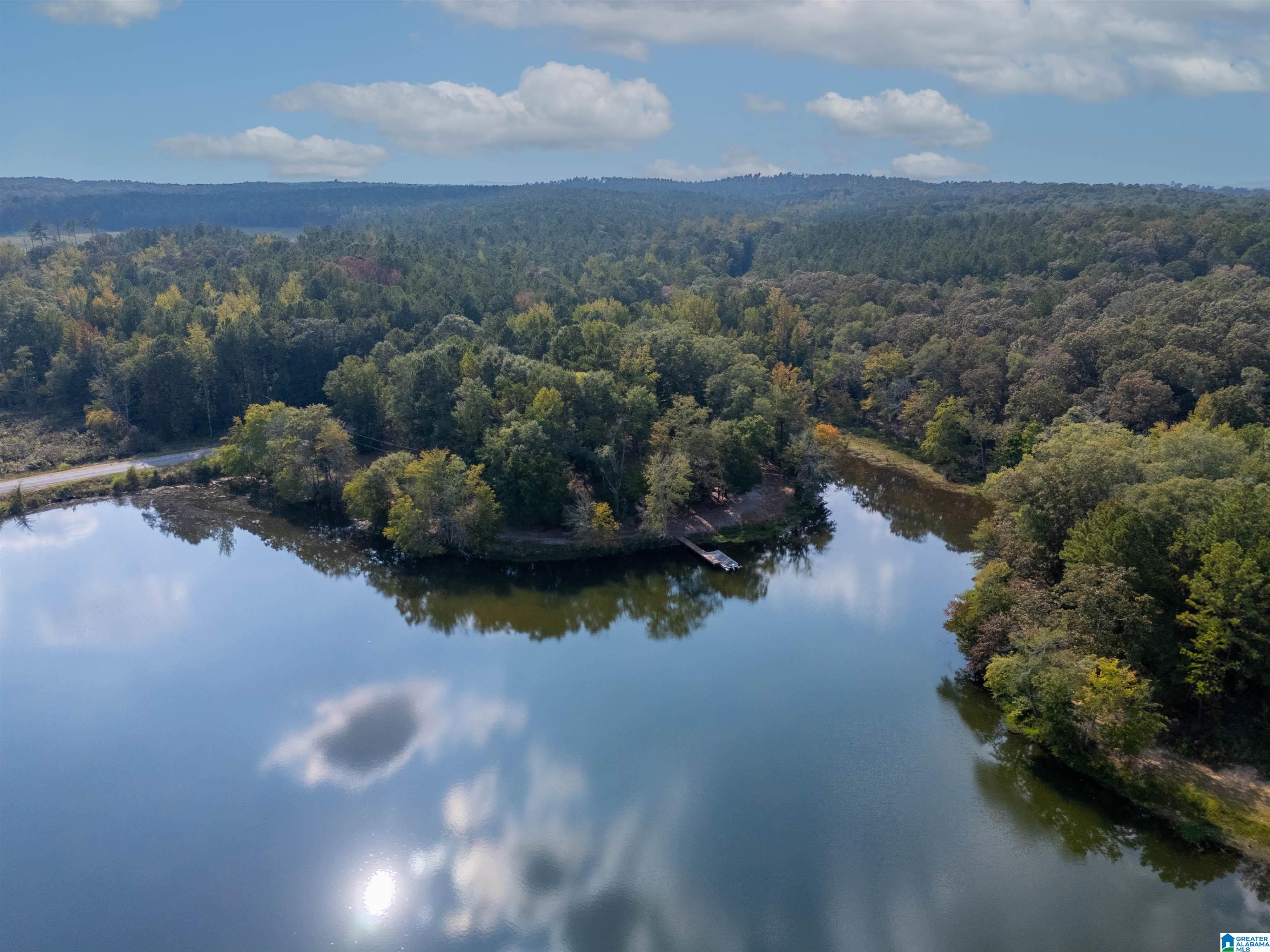 2560 Joe Lee Road Talladega, AL 35160 - Photo 1 of 31