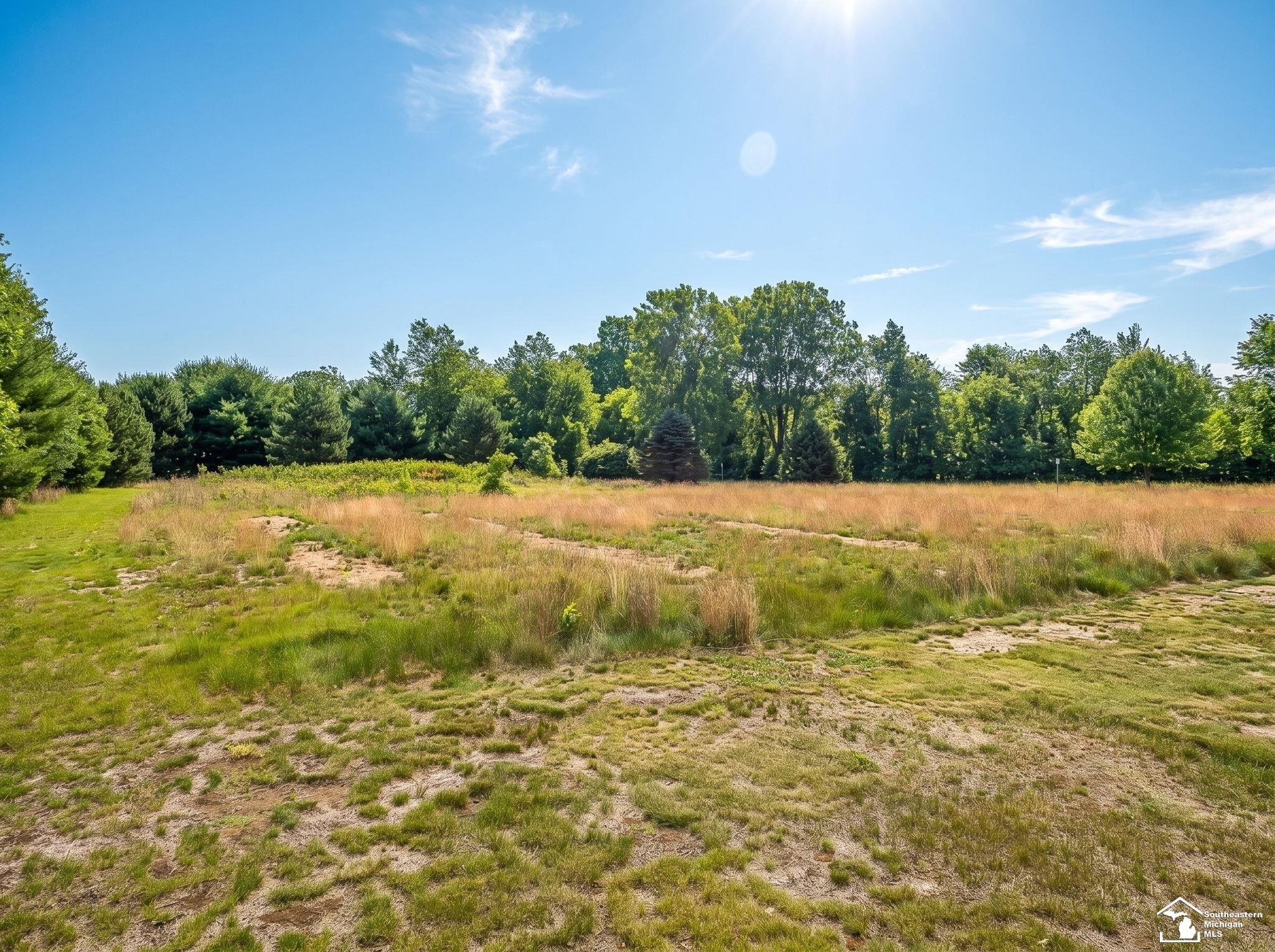 4675 Secor Road Ida, MI 48140 - Photo 65 of 76