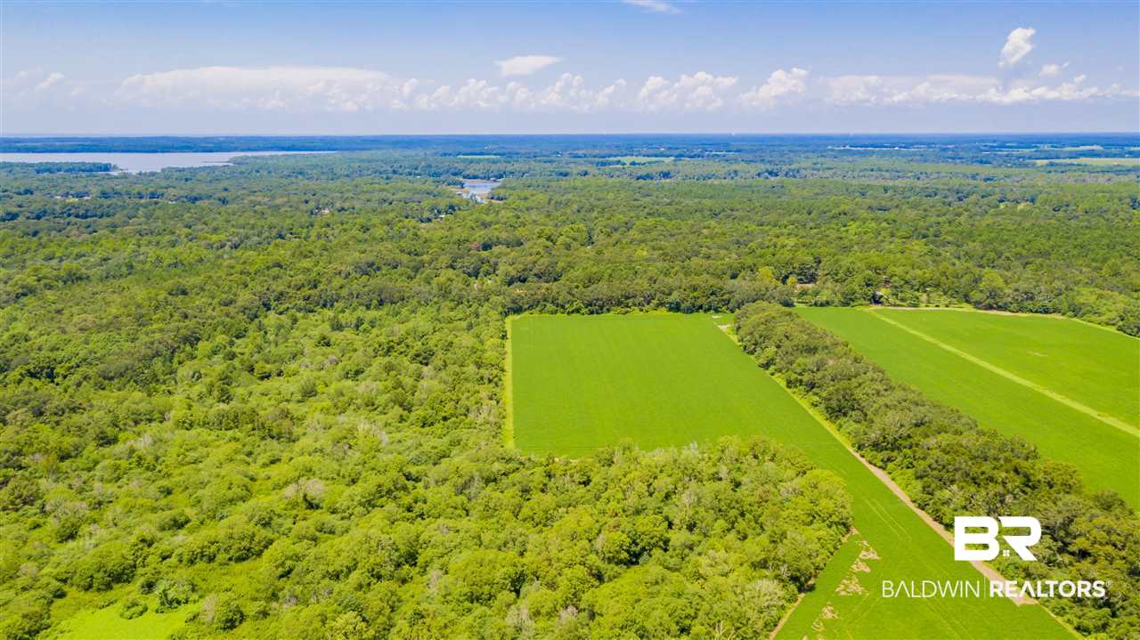0 East Bay Road Foley, AL 36535 - Photo 4 of 10 Gallery Image 4
