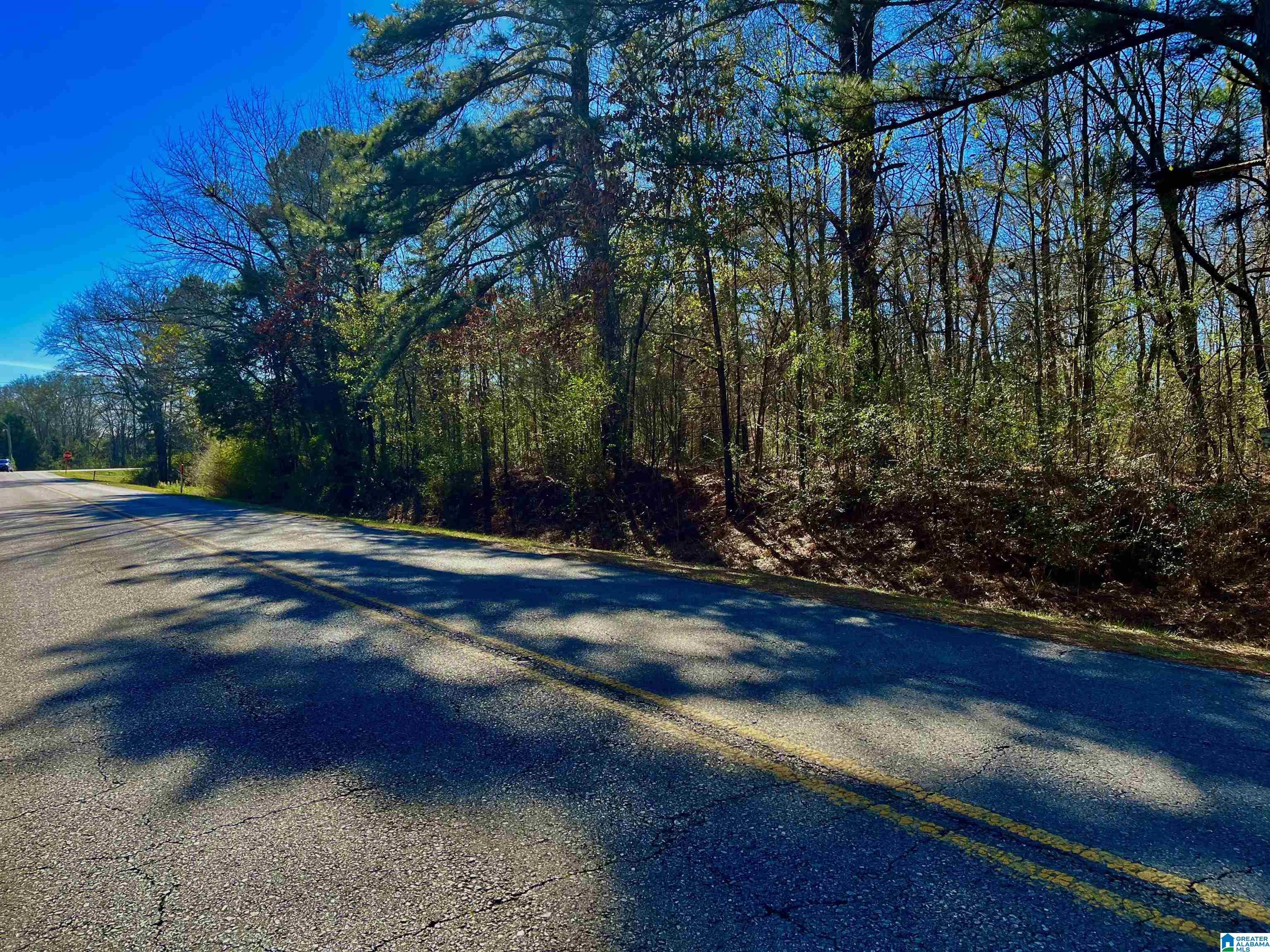 78 Highway Riverside, AL 35135 - Photo 6 of 23