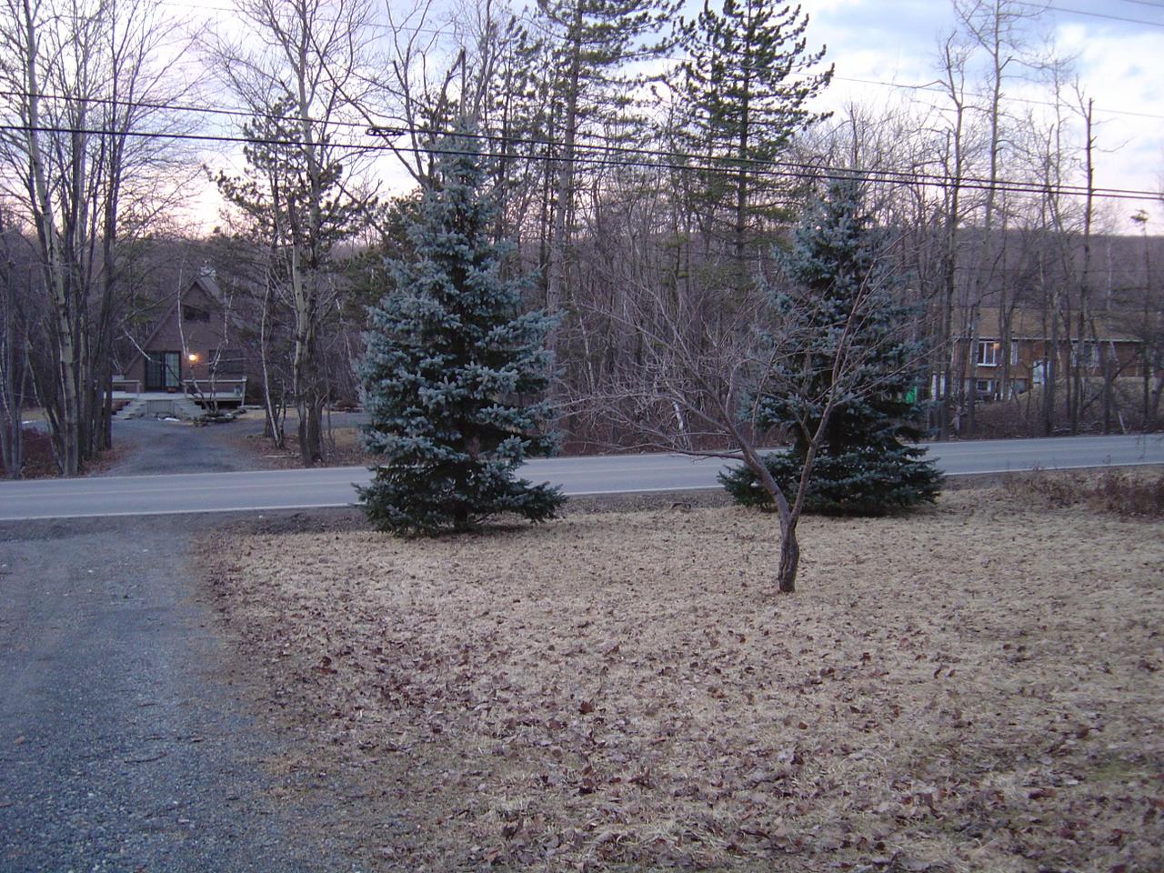 front yard
