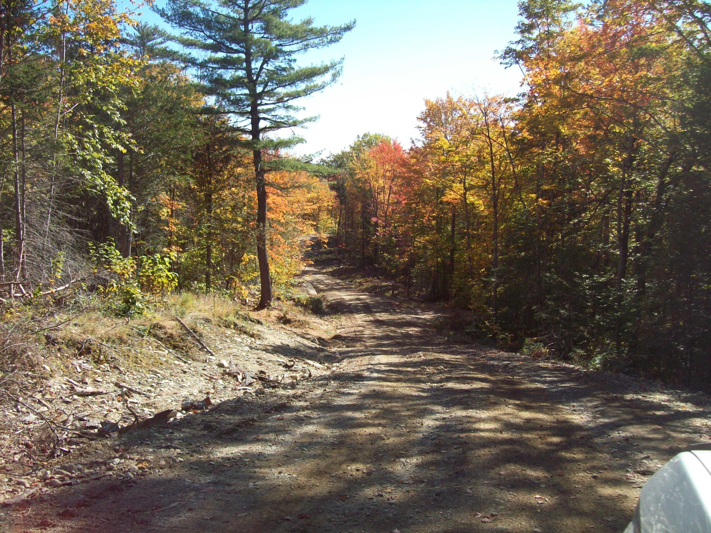 Tbd Arab Road Lee, ME 04455 - Photo 12 of 20 100_3164