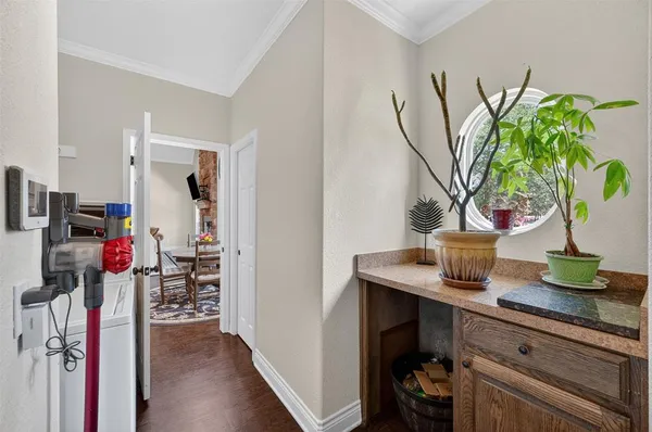 a view of a potted plant on a kitchen counter top
