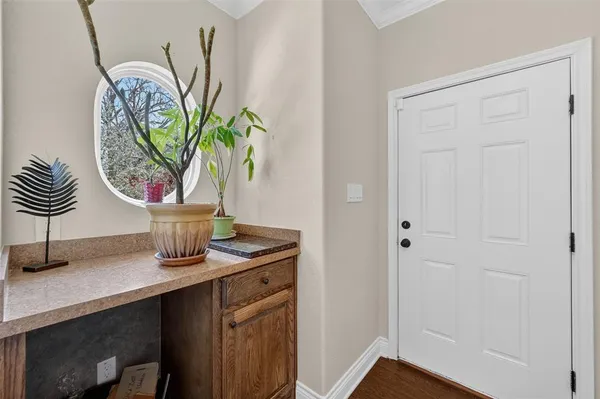 a view of a sink with a potted plant