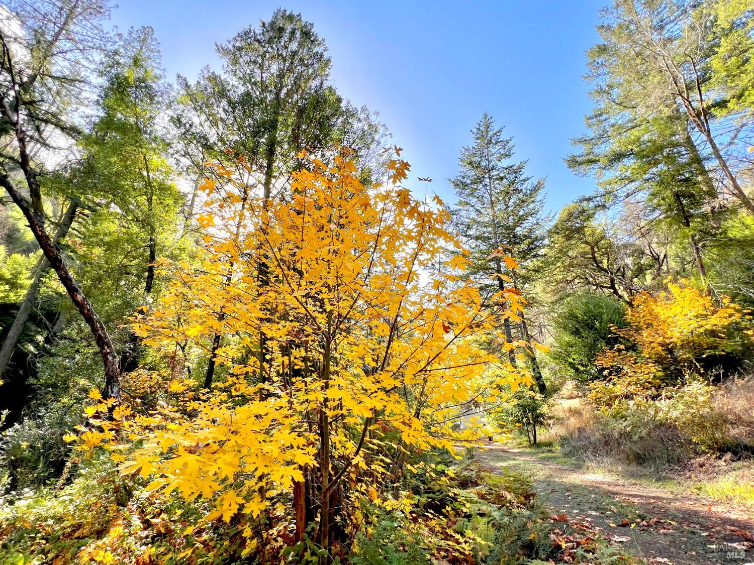 2095-2261 Mark West Springs Road Santa Rosa, CA 95403 - Photo 11 of 29