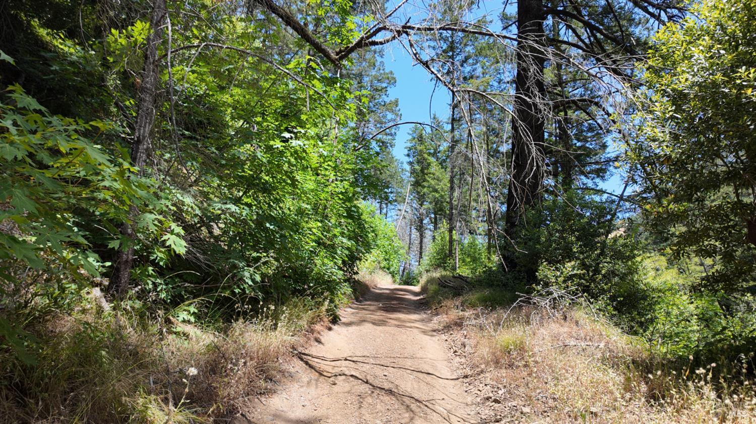 2095-2261 Mark West Springs Road Santa Rosa, CA 95403 - Photo 19 of 29