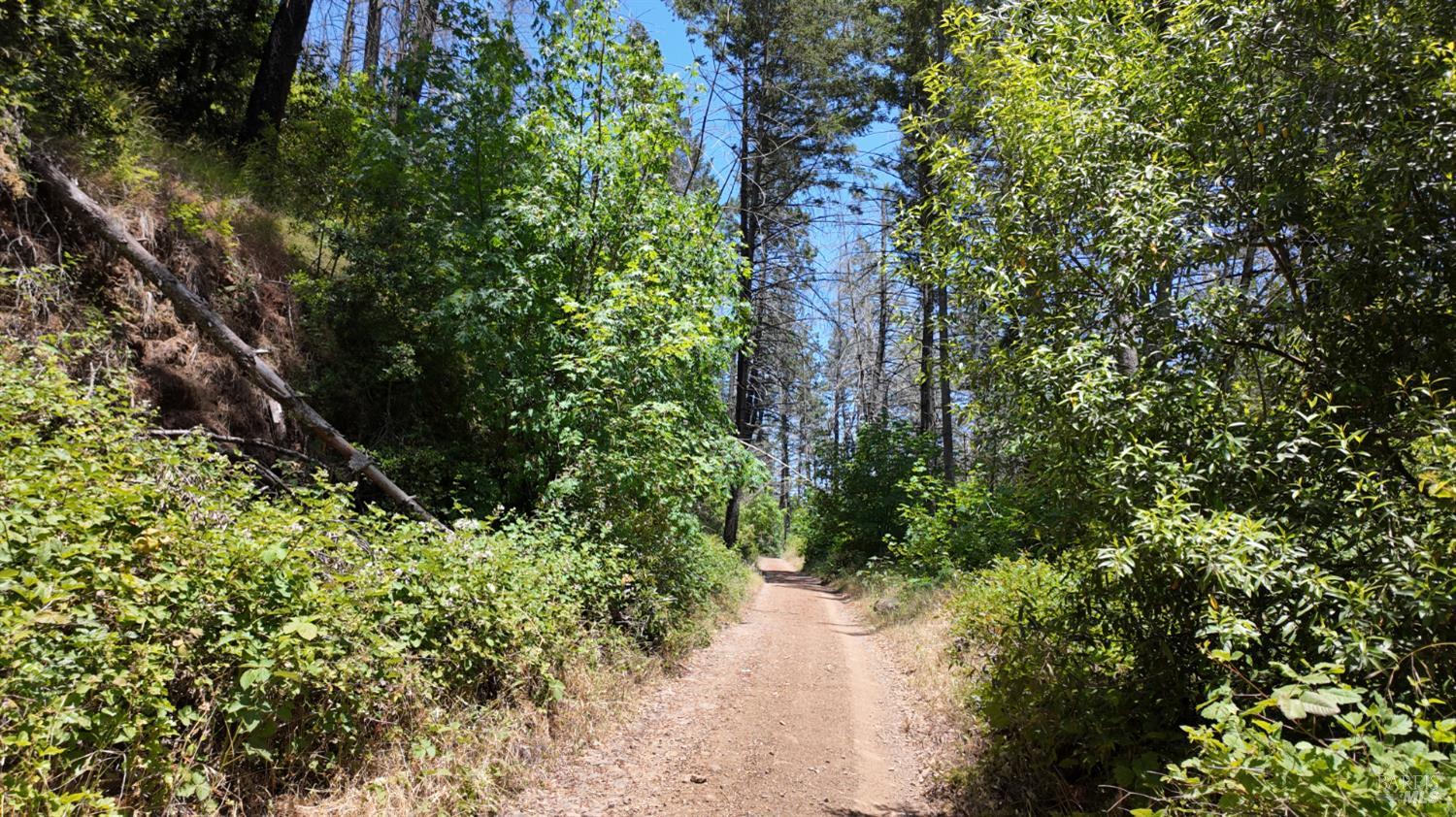 2095-2261 Mark West Springs Road Santa Rosa, CA 95403 - Photo 20 of 29