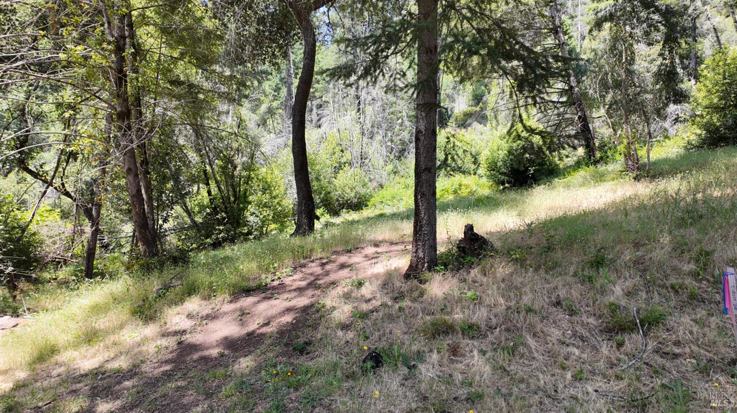 2095-2261 Mark West Springs Road Santa Rosa, CA 95403 - Photo 29 of 29