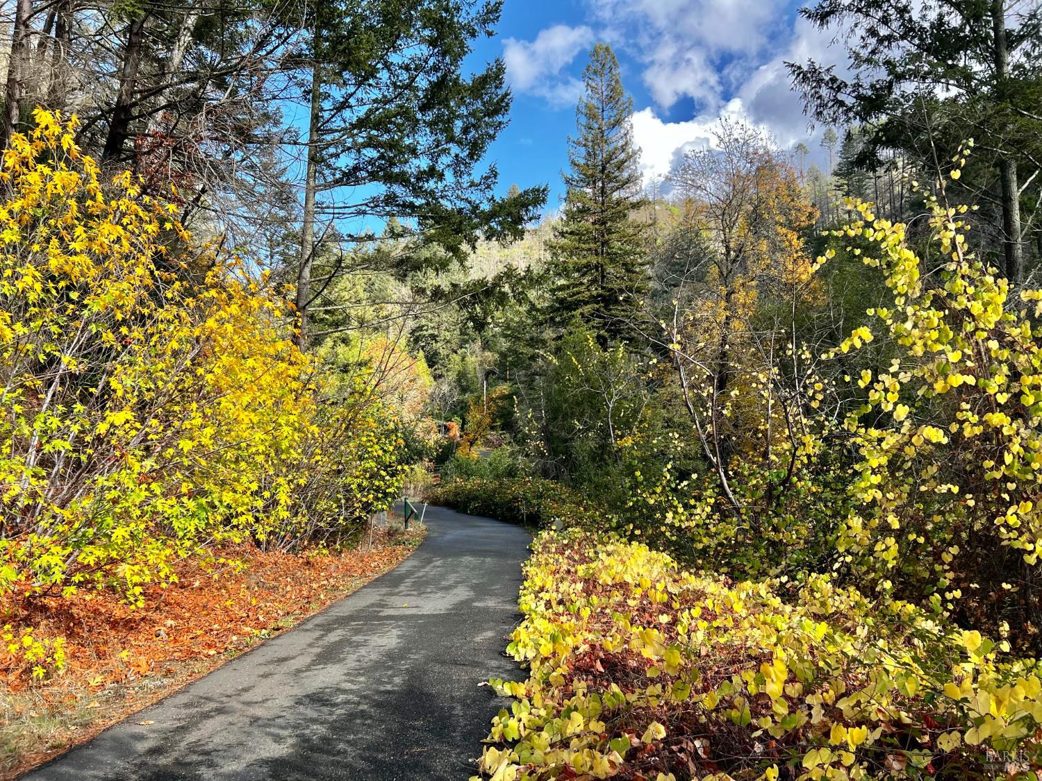 2095-2261 Mark West Springs Road Santa Rosa, CA 95403 - Photo 4 of 29