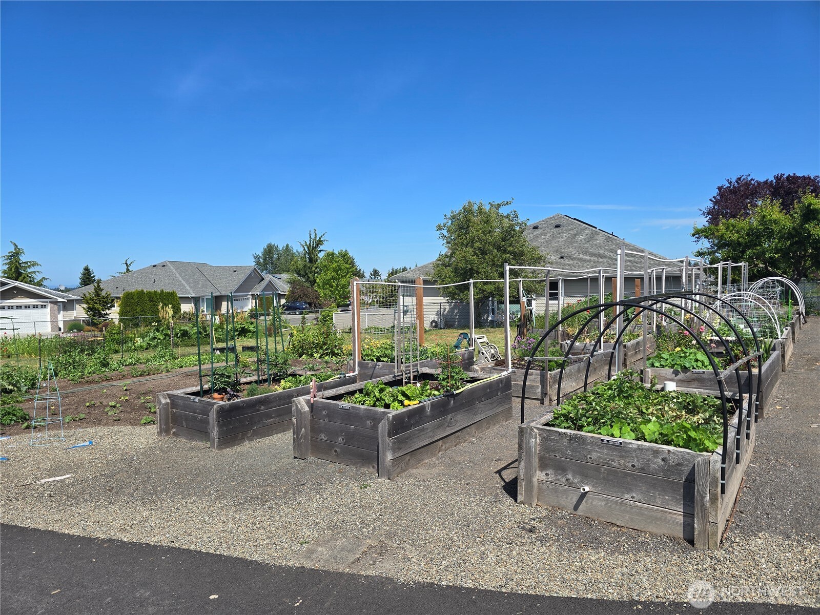1301 South 3rd Avenue, Unit 5D Sequim, WA 98382 - Photo 28 of 29
