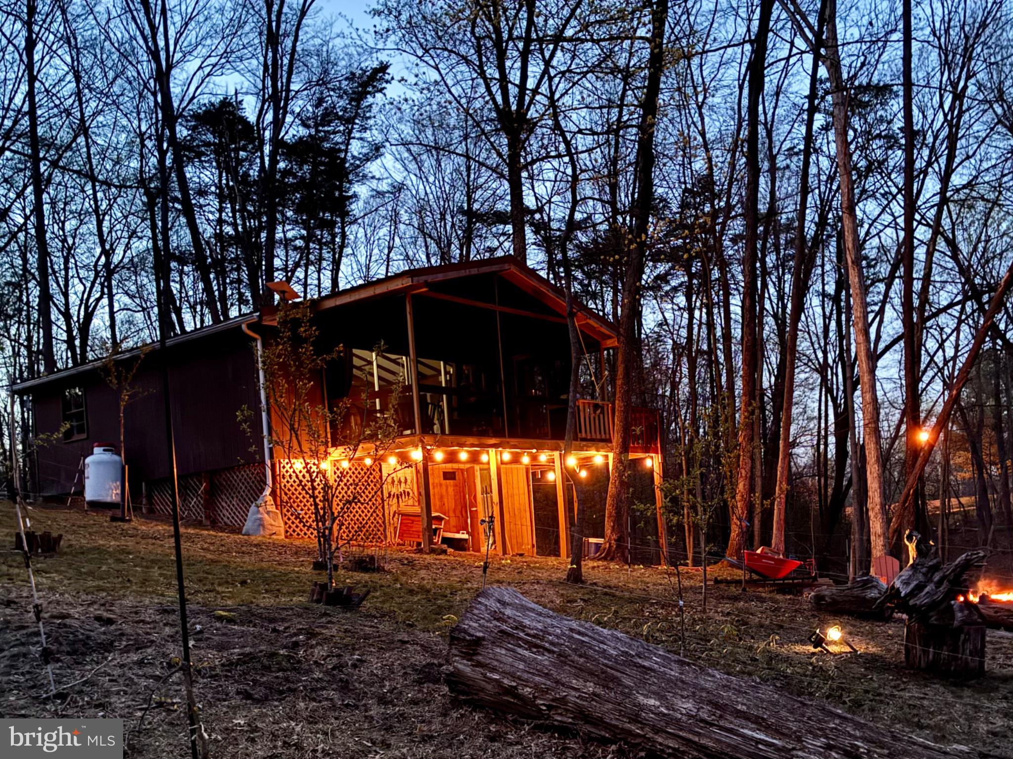 663 Audubon Road Hedgesville, WV 25427 - Photo 5 of 5 Charming cabin nestled in twilight woods.