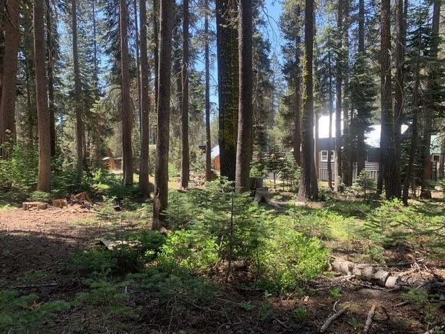 21164 Donner Pass Road Soda Springs, CA 95728 - Photo 16 of 19 Gallery Image 16