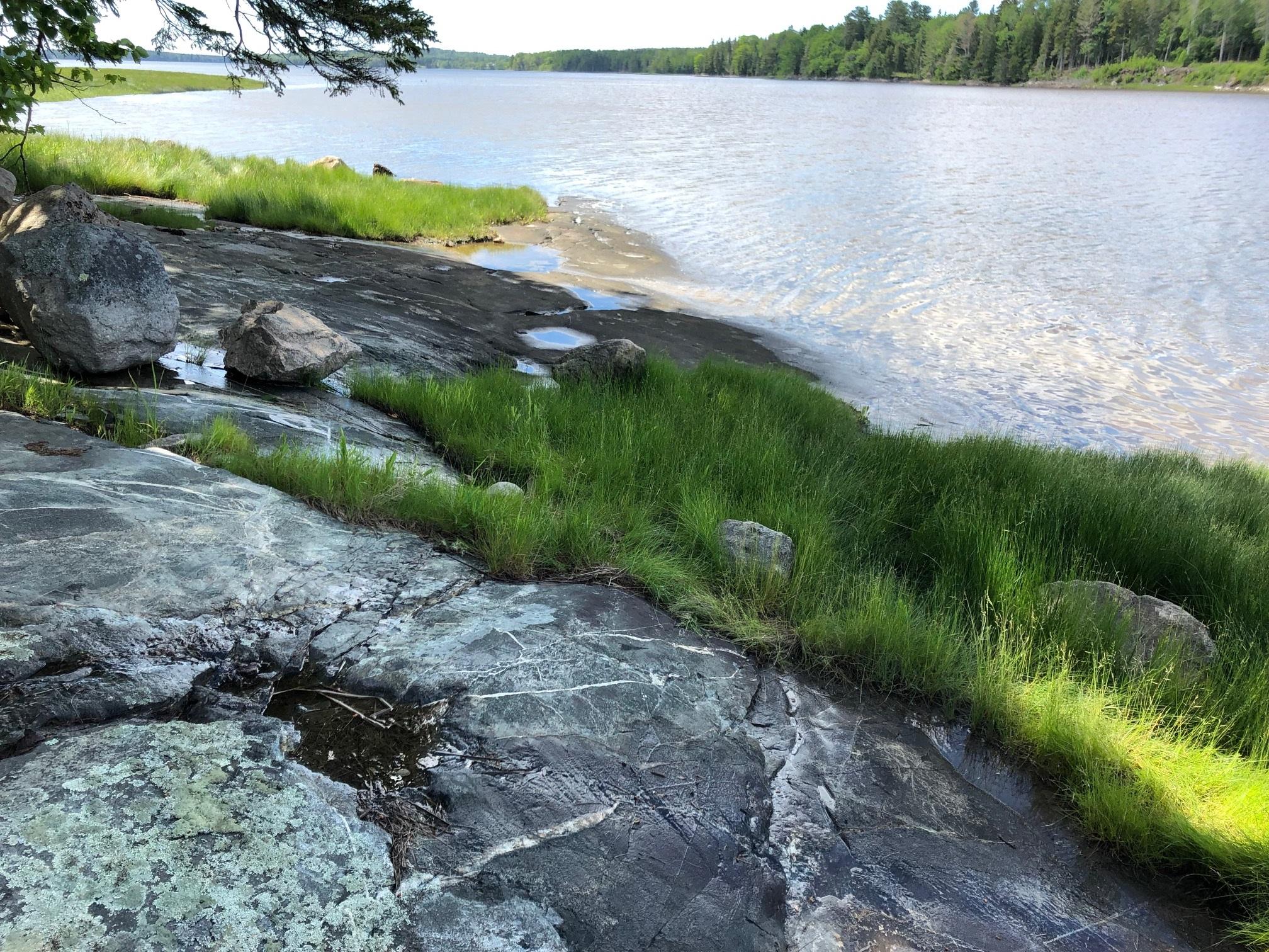 8 Sandpiper Shores Road Gouldsboro, ME 04607 - Photo 2 of 8 IMG_1008 (04)