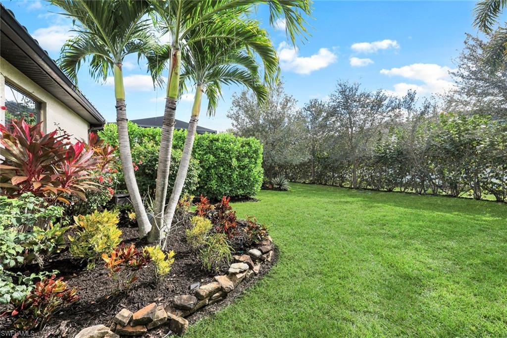 4244 Raffia Palm Circle Naples, FL 34119 - Photo 31 of 38 a view of a garden with a tree